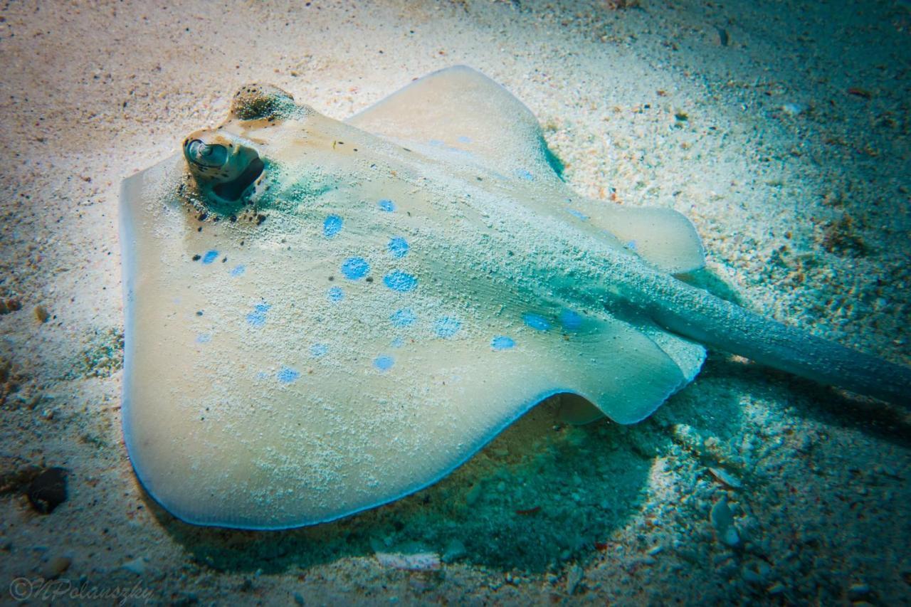 Forra Dive Resort Sunrise Koh Lipe Exterior foto
