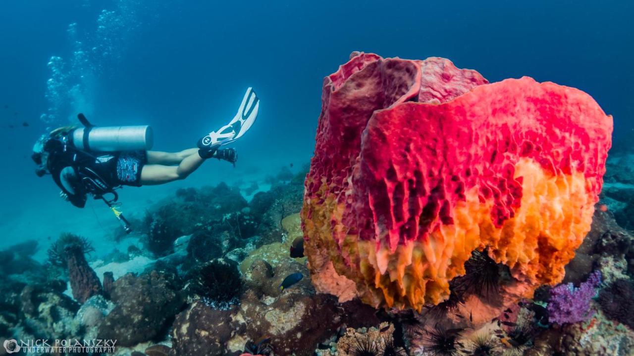 Forra Dive Resort Sunrise Koh Lipe Exterior foto