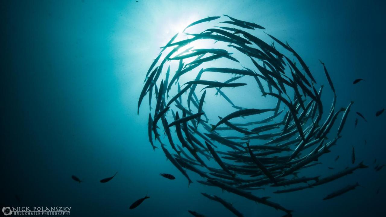 Forra Dive Resort Sunrise Koh Lipe Exterior foto