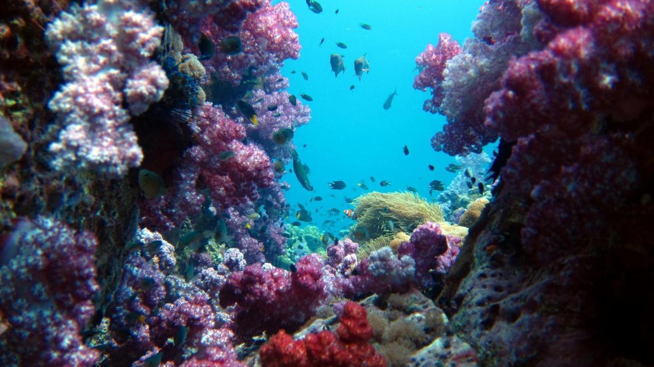 Forra Dive Resort Sunrise Koh Lipe Exterior foto