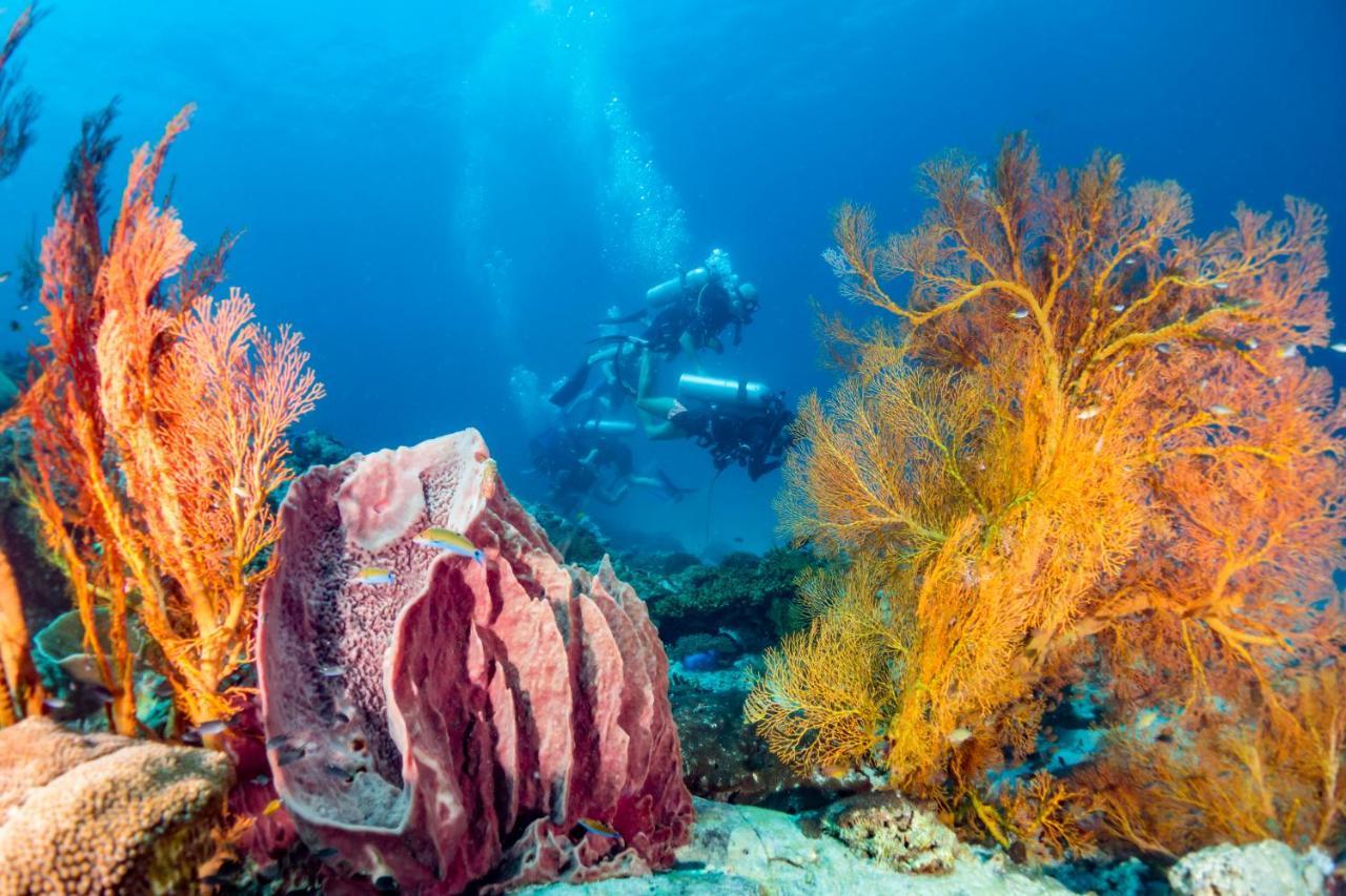 Forra Dive Resort Sunrise Koh Lipe Exterior foto